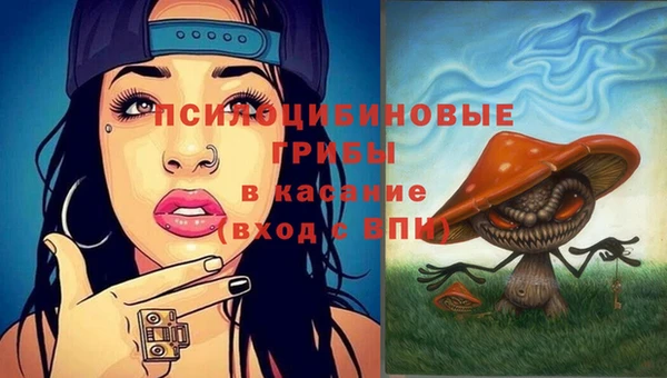 твердый Алексин