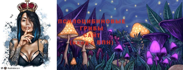 крисы Аркадак