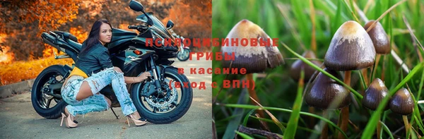 jwh Арсеньев