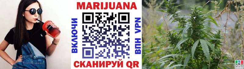 Конопля гибрид Калининск